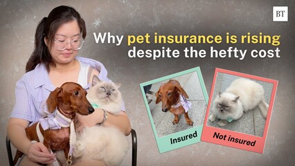 Is pet insurance worth it? A pawrent’s take