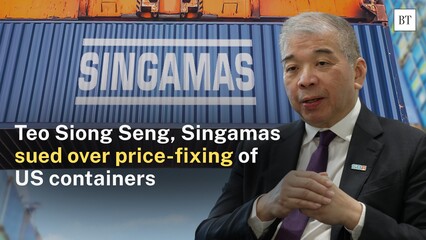 Teo Siong Seng, Singamas sued over price-fixing of US containers
