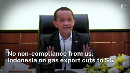 No non-compliance from us: Indonesia on gas export cuts to SG
