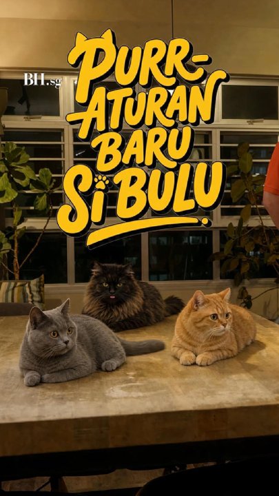 Akhirnya, Oyen, Kelabu dan Kopi kini sudah didaftarkan.