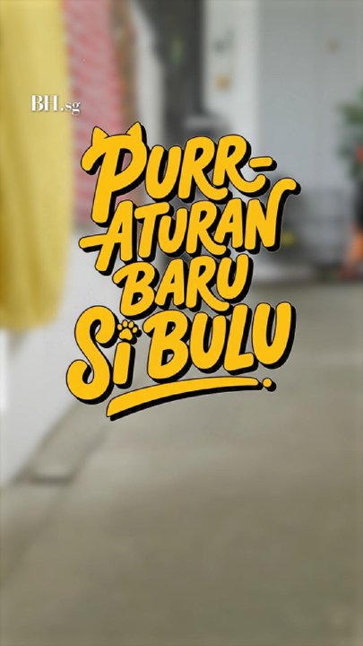 Oyen dan Kelabu jadi ninja? 🥷🐈