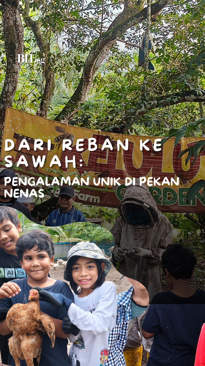 Dari reban ke sawah: Anak ‘kota’ S’pura nikmati pengalaman unik di Pekan Nenas