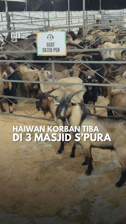 Haiwan korban tiba di 3 masjid S’pura