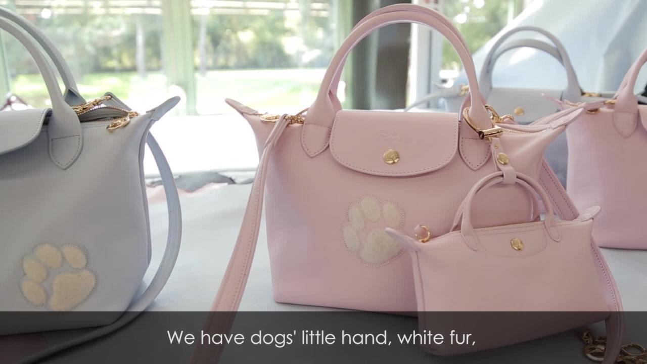 EXCLUSIVE: Longchamp x Mr. Bags Release Second Lunar Near Year