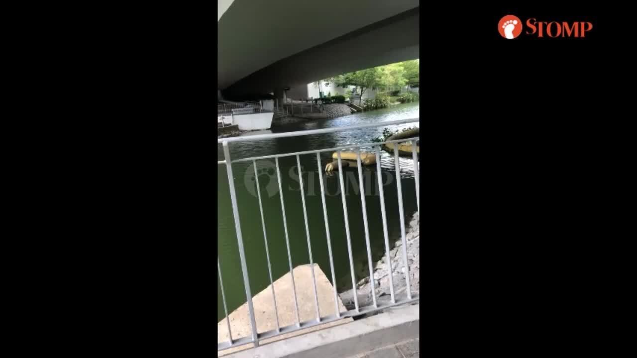 YOUNG PUNKS ILLEGALLY FISHING IN WATERS IN FRONT OF LOUIS VUITTON @MBS