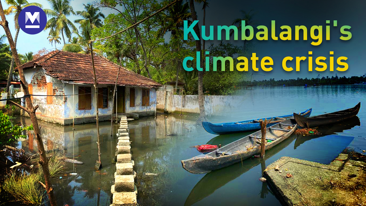 Two floods a day: Kerala's Kumbalangi, India's first model tourism village,  stares at a climate crisis | Onmanorama