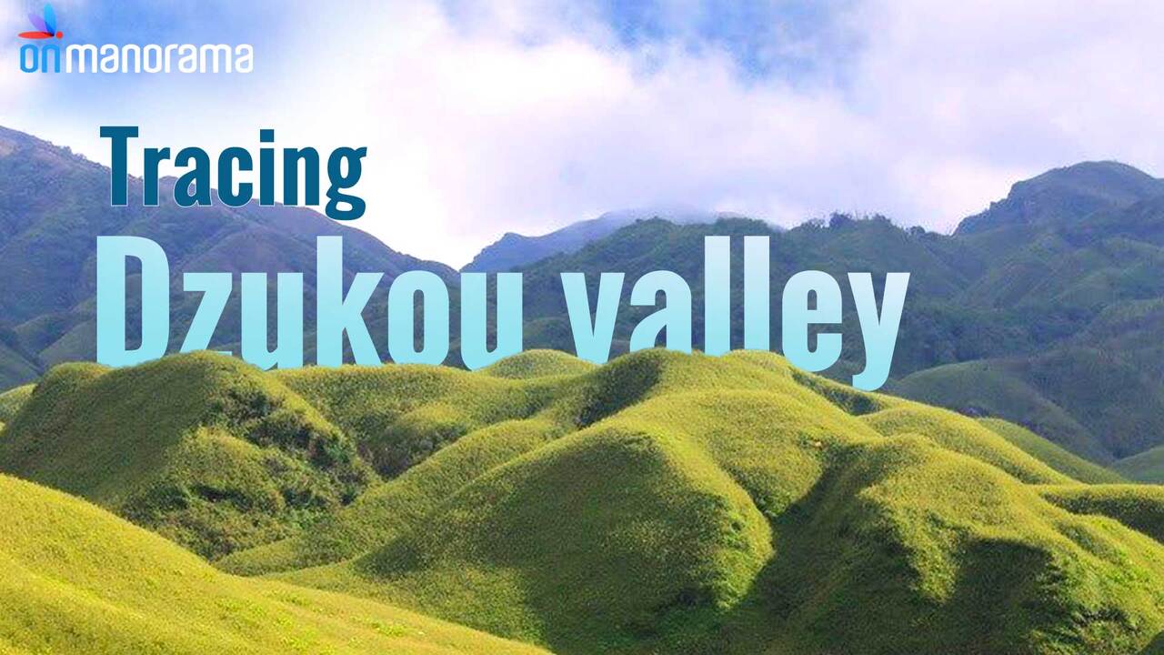 dzukou valley discovering the stunning places of nagaland