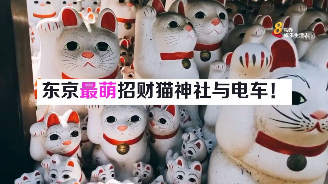 猫奴必去 东京最萌招财猫神社与电车