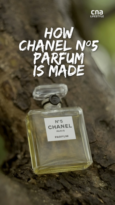 What's Chanel N5 perfume's secret ingredient? Lots of jasmine flowers from  Grasse, France- CNA Lifestyle