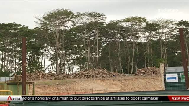 Tcm Schedule April 2022