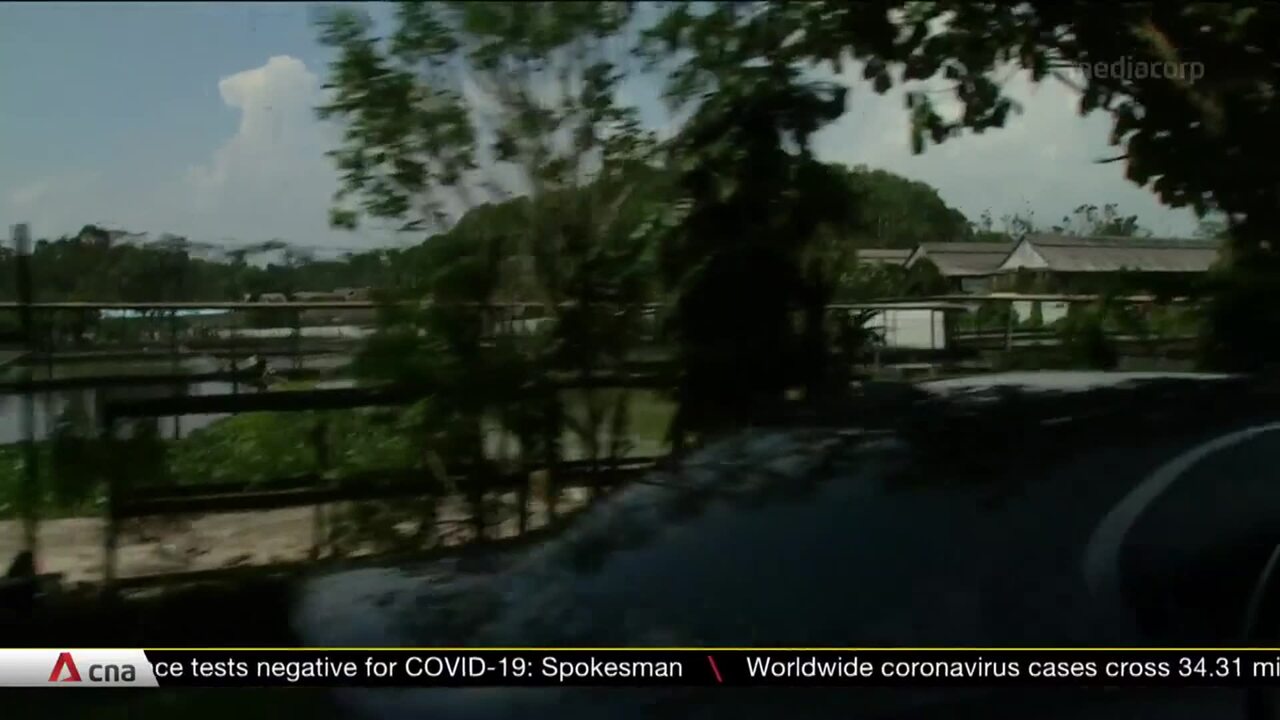 Lim Chu Kang to be transformed into hightech agrifood cluster under