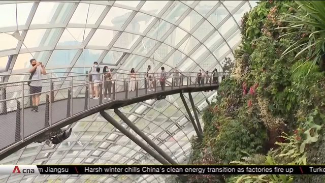 Some Singapore attractions to allow more visitors when Phase 3 begins | Video - Vimarsana News