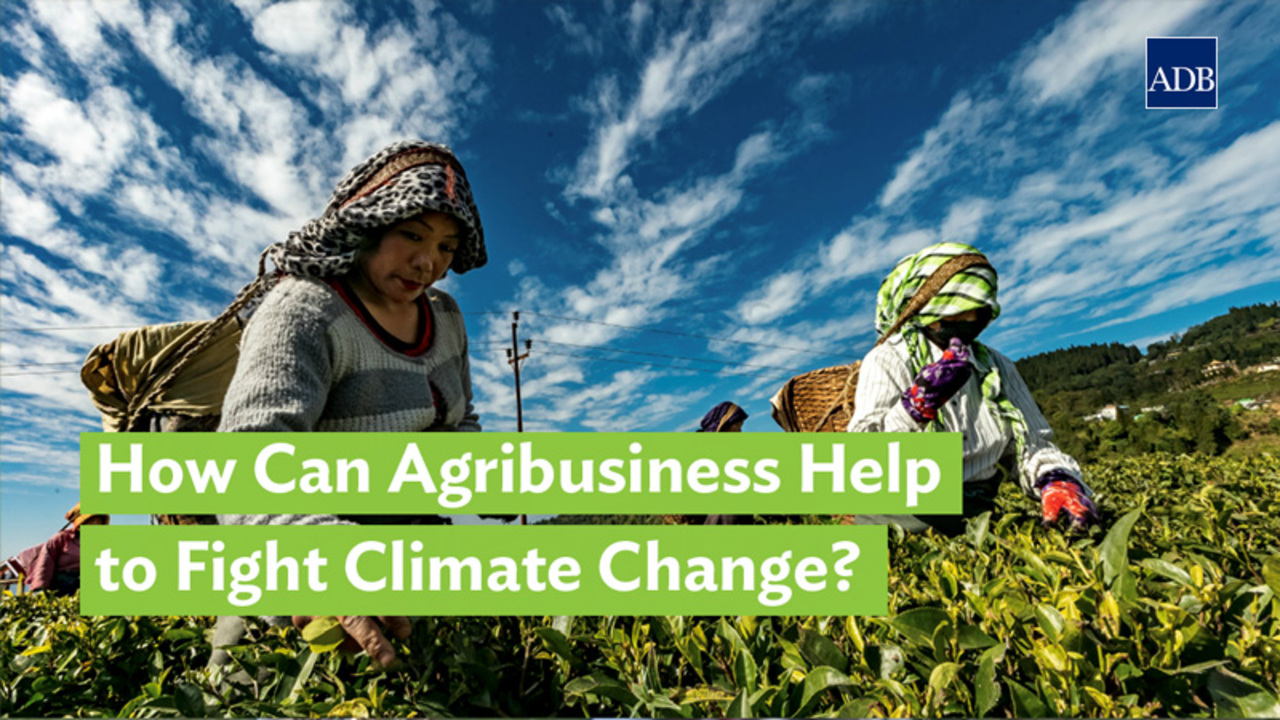 Lessons from farmers' adaptive practices to climate change in